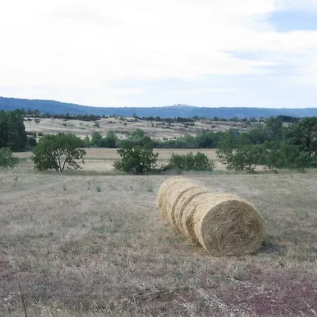 Du Salagou Octon